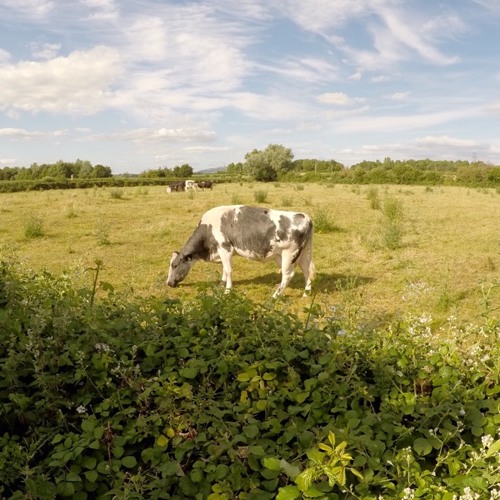 Four on the Floor (HOOF-MIX)