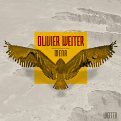 Heavier Tech/House