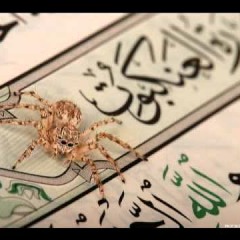 الشيخ عزت جمال - سورة العنكبوت  - رمضان 2015