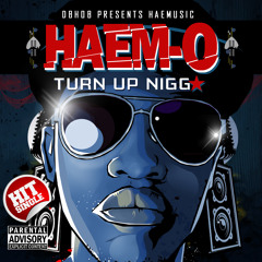 Turn Up Nigga (produced by Luxury Boy)