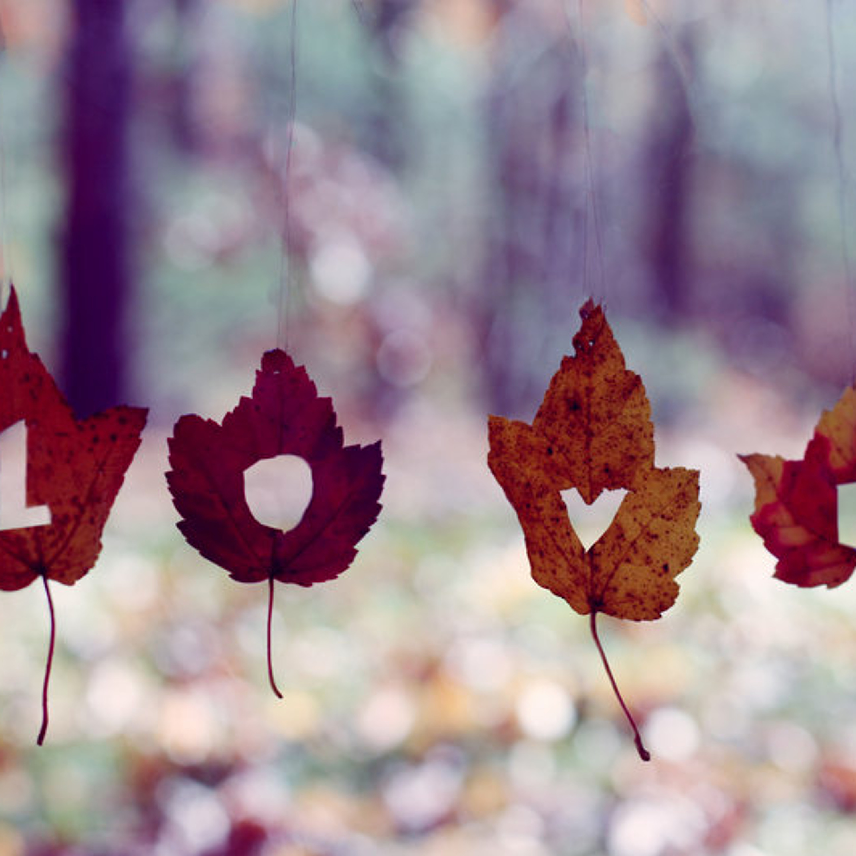 Fall In Love episode artwork