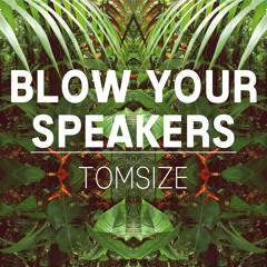 Blow Your Speakers by Tomsize