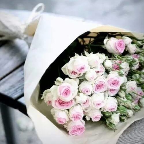 وَيسْألونَك عنِ الروحْ "