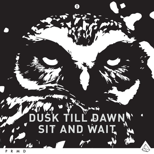 Dusk Till Dawn - Sit And Wait (Radio Edit)
