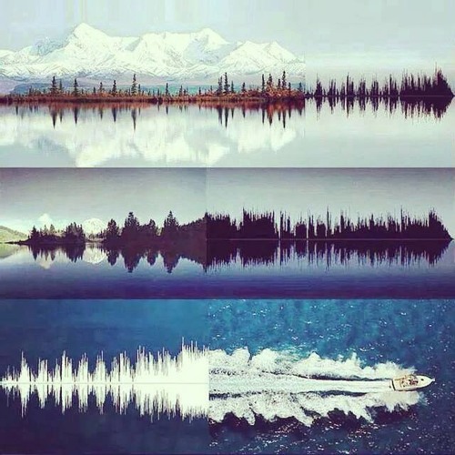 Electronic soulection