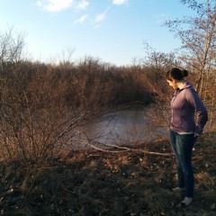 The Sault