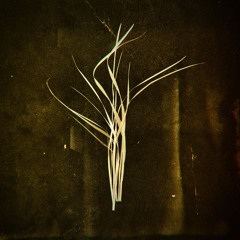 Lumisokea - "Flatland"