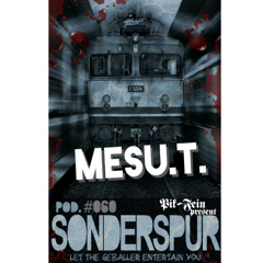 MESU.T. @ SONDERSPUR ⎜ POD. #060 - FRANKFURT ⎜ 10.06.2015