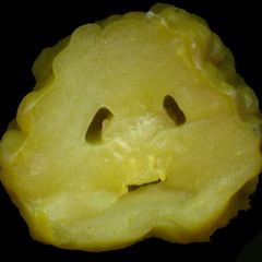 2015 - 06 - 20 The Next Day