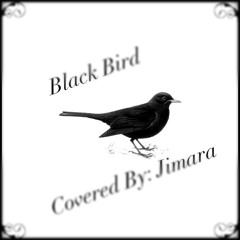 Black Bird2
