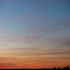 Speak Softly Love - Der Pate -  Nino Rota