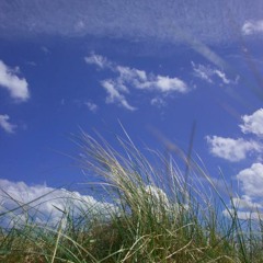 Summerland (Jazz Bossa Nova)