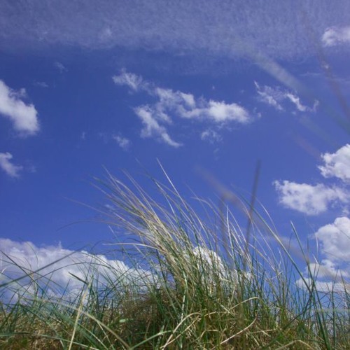 Summerland (Jazz Bossa Nova)