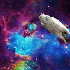 (Prod. Lunatic) Space Cats - LunaticProductions