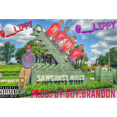 LIPPY - SAWGRASS (Prod. By Soy.Brandon)
