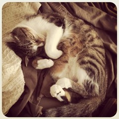 III. First Time, Long Time