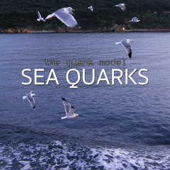 Sea Quarks