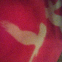 Kinğ Rełłø ft.Lee Lucas