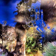 Stroll Through The Jungle