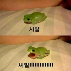 내가 씨발 못나서(Why Not Me) (feat. 스루Kim in 잠금해제)