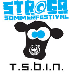 TSBiN @ Stroga Festival 2015