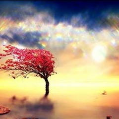 Memories (New Version)