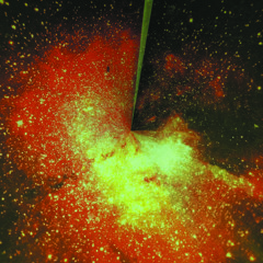 The Gasman  - Outmode