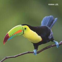 Deixar De Ser Tão Puto