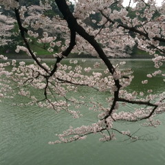 Dessin #3~for Cello and piano~(2014)