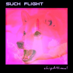 Such Flight - ChipANimal