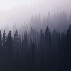 bitchbetterhavemymoney