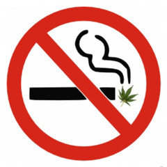 Shaun Solo X Big Grizzly Khaos - Smoke No Weed