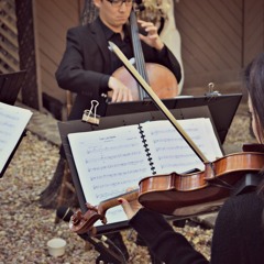 Stay With Me - Sam Smith - Aramis String Quartet Cover