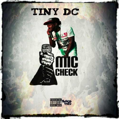 Tiny Dc -Mic Check