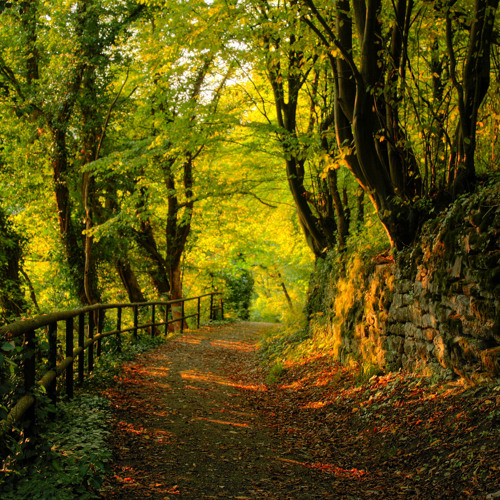 Matias Devries - Flat Circle (Original Mix)