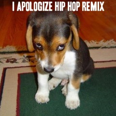 Anita Baker - I Apologize (Turtle Beats Hip Hop Remix)