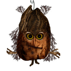 Owl in the peppercorn tree