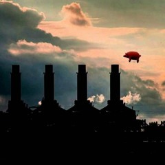 Pig Solo - The Pink Floyd Tribute Show (2011)