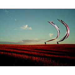 High Hopes Solo - The Pink Floyd Tribute Show (2011)