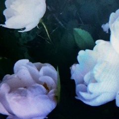 Madi Larson x Ajgor ~ Guidance