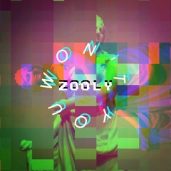 ZOOLY - WON'T YOU
