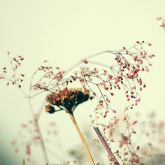 Originals: Saving Grace (2015)