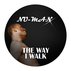 Nu Man Fatin - You Got It (feat. R T)(Album: The Way I Walk) Produced by The iProducers