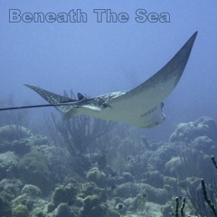 Beneath The Sea