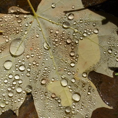 Richie Wellington, Kyle Donovan, and Patt Vernon Perform Junk Metal