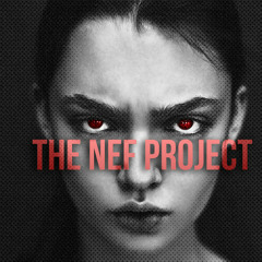 Firebird (Original Mix) - The NEF Project