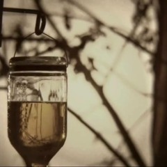 Hammock - Cold Front