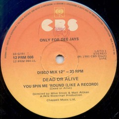 dead or alive - you spin me round (edith)