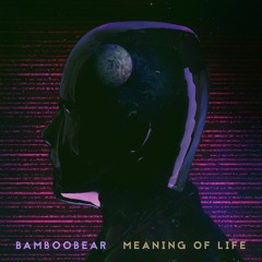 What's the Meaning of Life