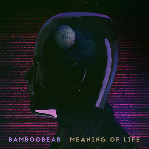 What's the Meaning of Life